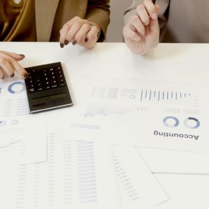 Audit for Established Companies